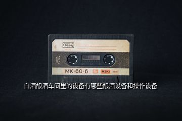 白酒釀酒車(chē)間里的設(shè)備有哪些釀酒設(shè)備和操作設(shè)備