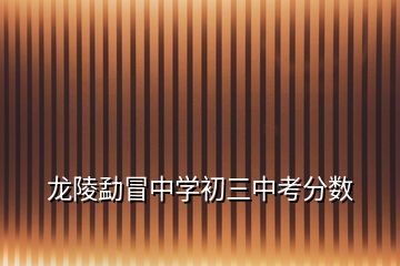 龍陵勐冒中學初三中考分數(shù)