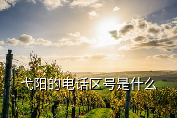 弋陽的電話區(qū)號是什么