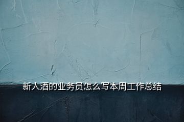 新人酒的業(yè)務員怎么寫本周工作總結(jié)