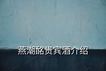 燕潮酩貴賓酒介紹