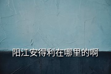 陽江安得利在哪里的啊