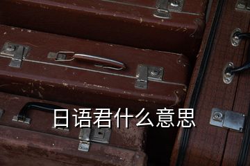 日語(yǔ)君什么意思