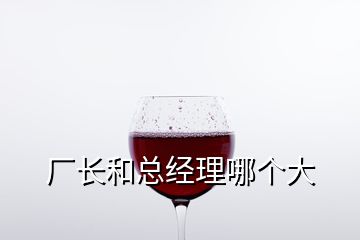 廠長和總經(jīng)理哪個大