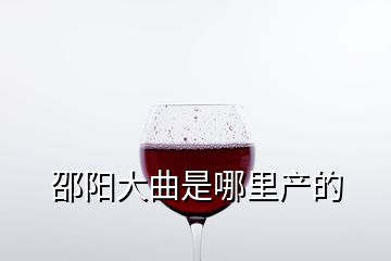 邵陽大曲是哪里產的