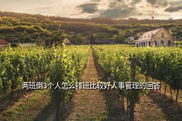 兩班倒3個(gè)人怎么排班比較好人事管理的回答