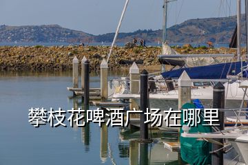 攀枝花啤酒廣場(chǎng)在哪里