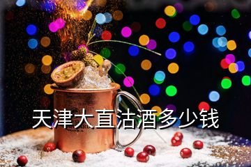 天津大直沽酒多少錢