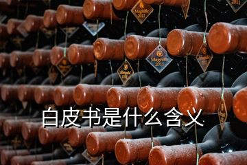 白皮書(shū)是什么含義