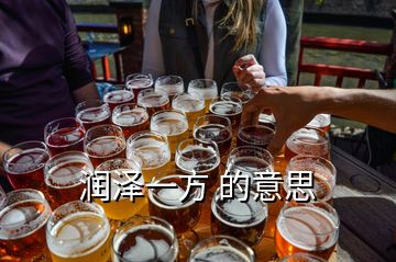 潤澤一方 的意思