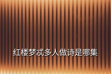 紅樓夢忒多人做詩是哪集