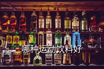 哪種運(yùn)動飲料好