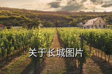 關(guān)于長(zhǎng)城圖片