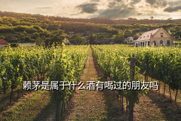 賴茅是屬于什么酒有喝過(guò)的朋友嗎