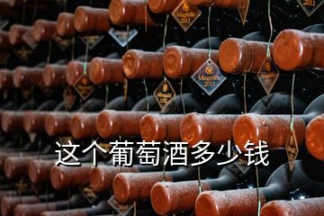 這個葡萄酒多少錢