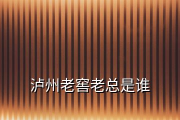 瀘州老窖老總是誰