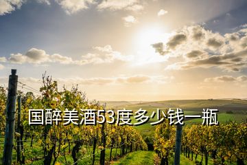 國(guó)醉美酒53度多少錢(qián)一瓶