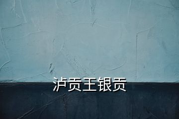 瀘貢王銀貢