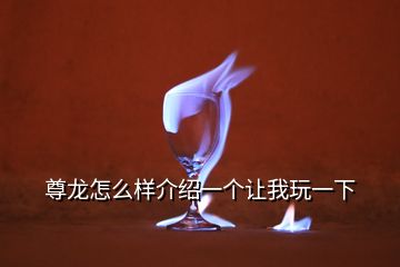 尊龍怎么樣介紹一個讓我玩一下