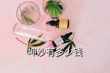 坤沙有多少錢(qián)
