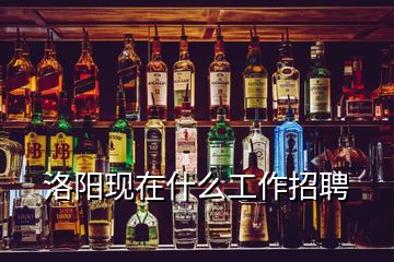 洛陽現(xiàn)在什么工作招聘