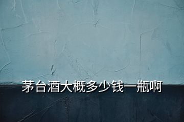 茅臺(tái)酒大概多少錢(qián)一瓶啊