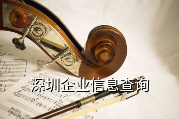 深圳企業(yè)信息查詢