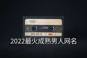 2022最火成熟男人網名