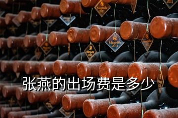 張燕的出場費(fèi)是多少