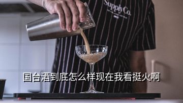 國(guó)臺(tái)酒到底怎么樣現(xiàn)在我看挺火啊