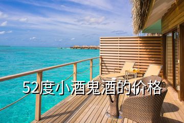 52度小酒鬼酒的價格