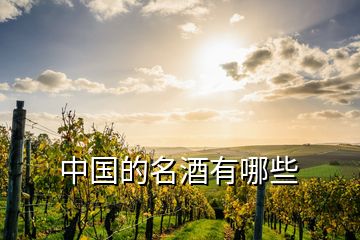 中國(guó)的名酒有哪些