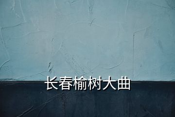 長(zhǎng)春榆樹(shù)大曲