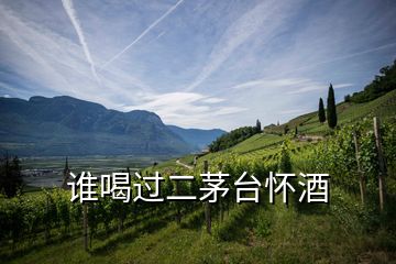 誰喝過二茅臺懷酒