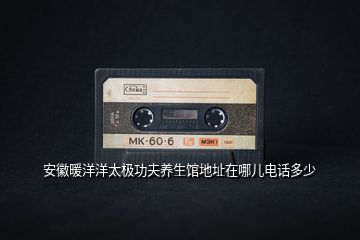 安徽暖洋洋太極功夫養(yǎng)生館地址在哪兒電話多少