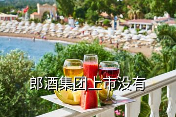 郎酒集團上市沒有