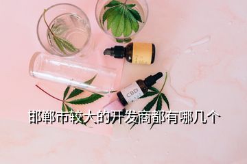 邯鄲市較大的開發(fā)商都有哪幾個(gè)