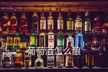 葡萄酒怎么釀