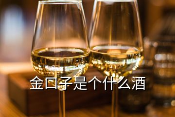 金口子是個(gè)什么酒