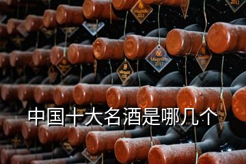 中國(guó)十大名酒是哪幾個(gè)