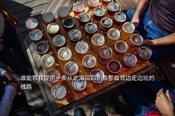 誰能幫我提供一條從北?；厮拇ǔ啥甲择{邊走邊玩的線路