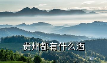 貴州都有什么酒