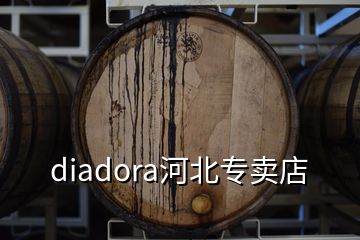 diadora河北專賣(mài)店