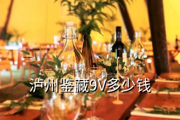 瀘州鑒藏9V多少錢