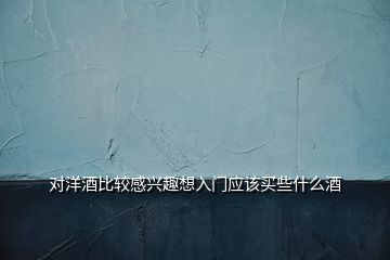 對(duì)洋酒比較感興趣想入門應(yīng)該買些什么酒