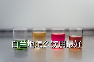 白蘭地怎么飲用最好