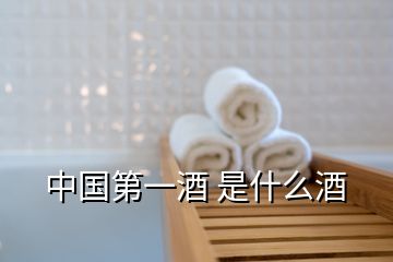 中國第一酒 是什么酒
