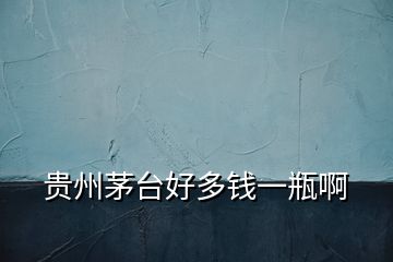 貴州茅臺(tái)好多錢(qián)一瓶啊