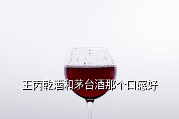 王丙乾酒和茅臺(tái)酒那個(gè)口感好