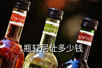 1瓶軒尼仕多少錢(qián)